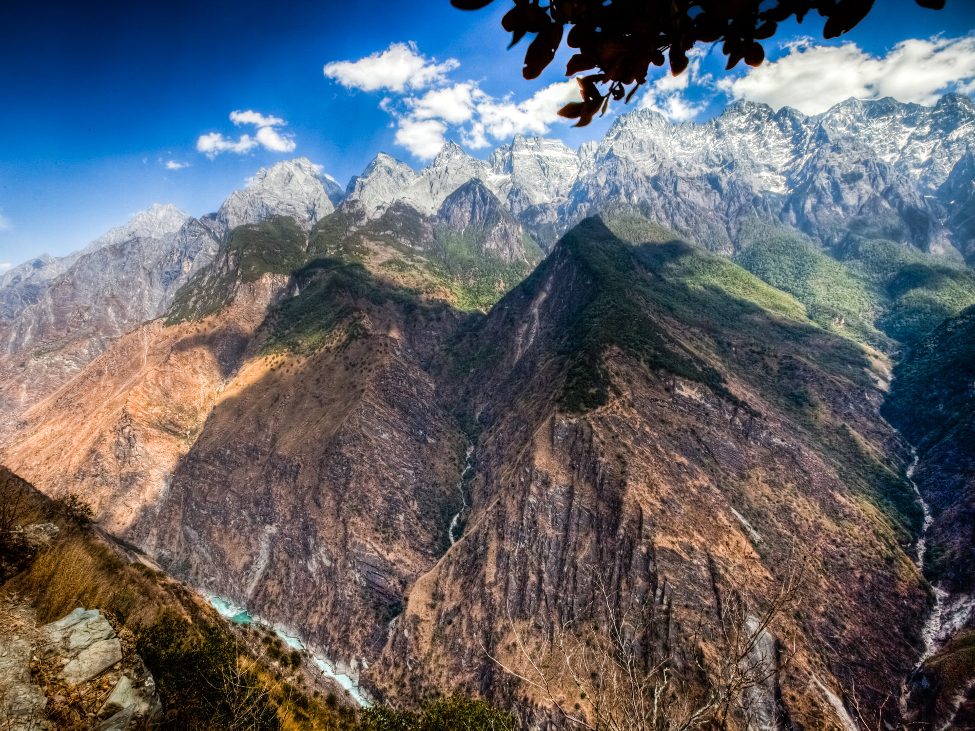 Tiger Leaping Elevated Trips