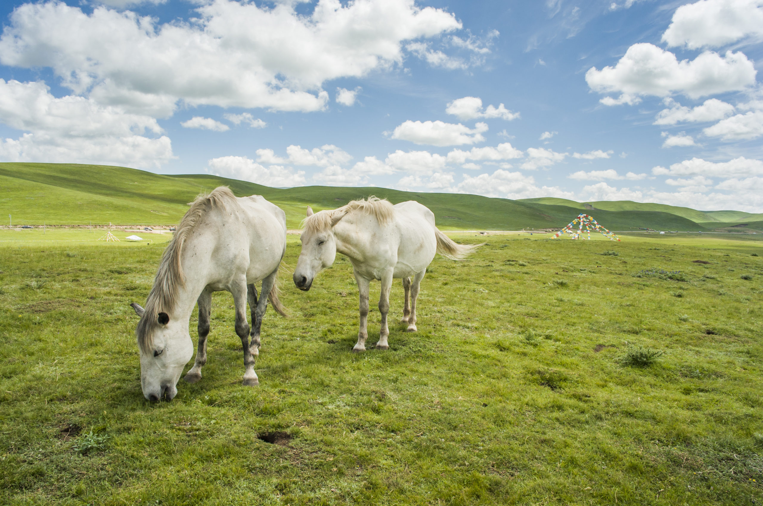 Travel incentives in Tibet