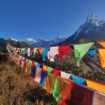 What are Buddhist prayer flags for?